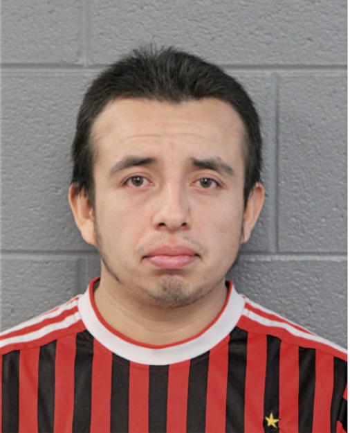 ARTURO J AMECA-ACOSTA, Cook County, Illinois