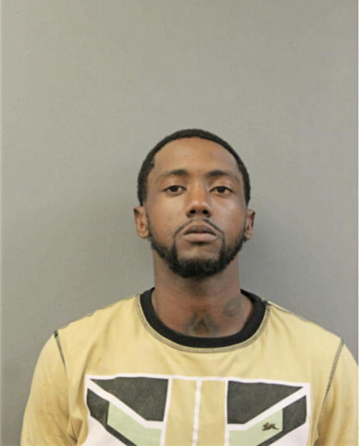 KEVIN M ANDERSON, Cook County, Illinois
