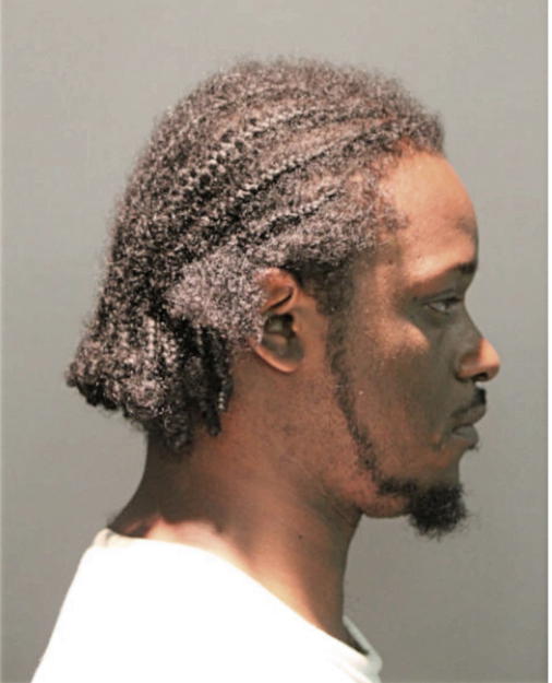 MAURICE D ANDERSON, Cook County, Illinois