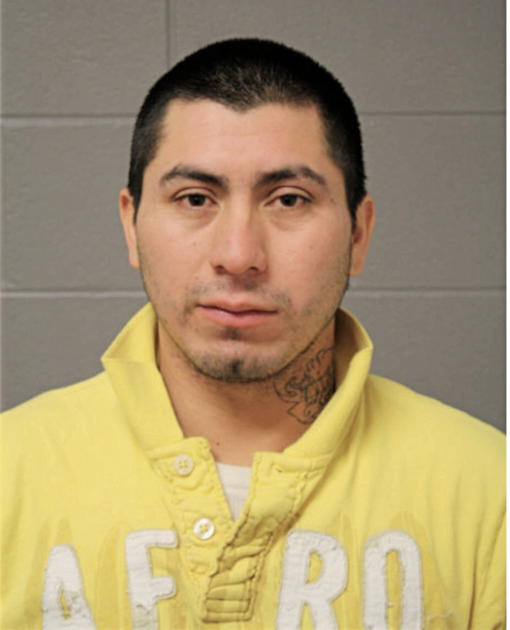 JOSE A BALDERAS-BAHENA, Cook County, Illinois