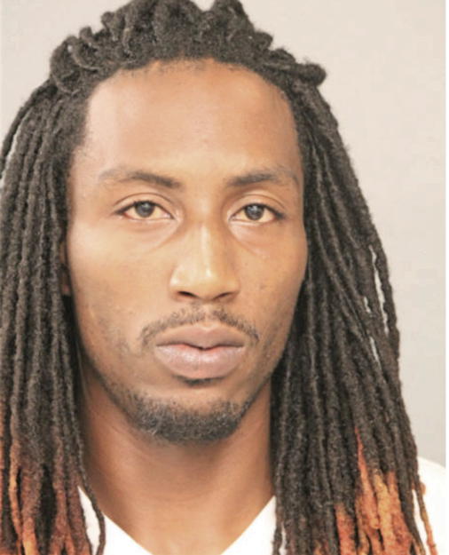 SHANNON L BILLINGSLEA, Cook County, Illinois