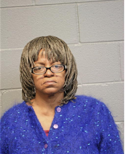 LINDA J CAMERON, Cook County, Illinois