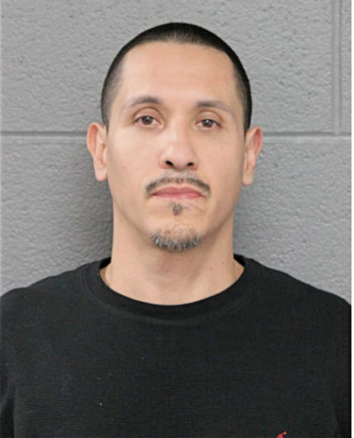 RICARDO D CORTES, Cook County, Illinois