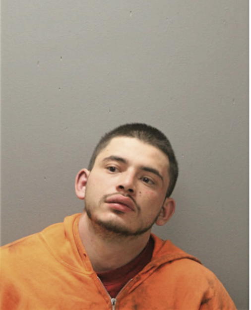 SERGIO L COVARRUBIA-MATA, Cook County, Illinois