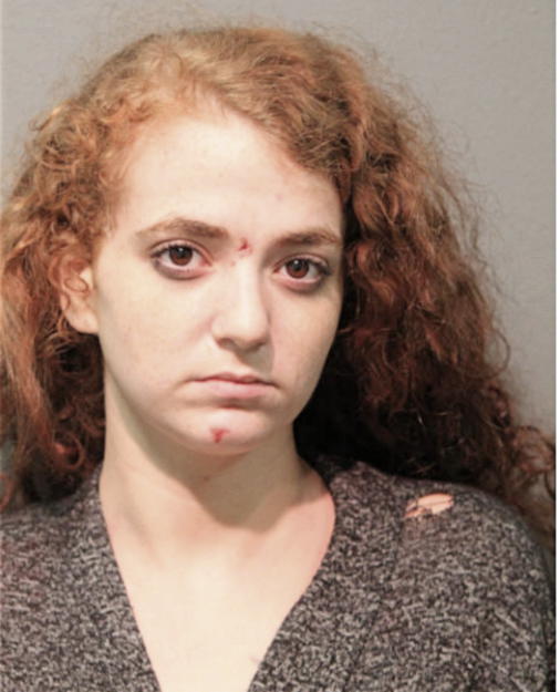 NORMA J DENNISON, Cook County, Illinois