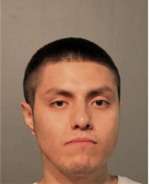P ANGELO DIAZ, Cook County, Illinois