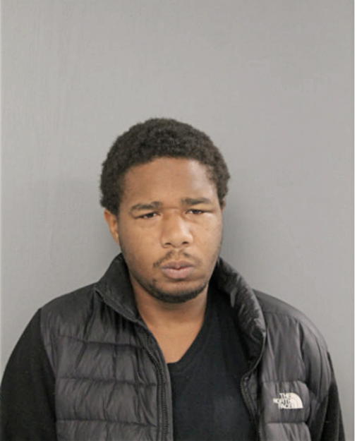 DANIEL L DIGGS, Cook County, Illinois