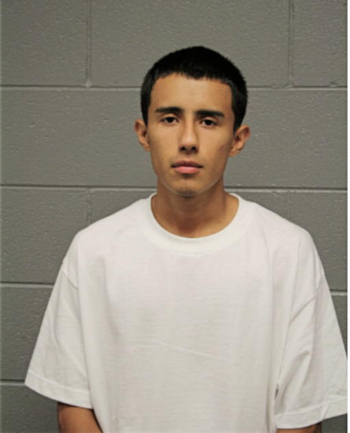 ERICK R GAMA, Cook County, Illinois