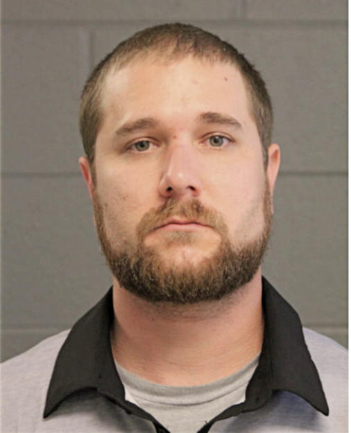 STEVEN R HUDSON, Cook County, Illinois