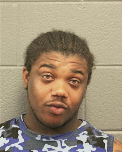 DIONNTAE D IRVIN, Cook County, Illinois