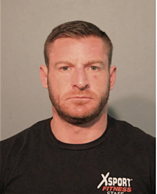 DAVID JOHNSON JR, Cook County, Illinois