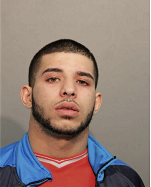 MAHDI S MAHDI, Cook County, Illinois