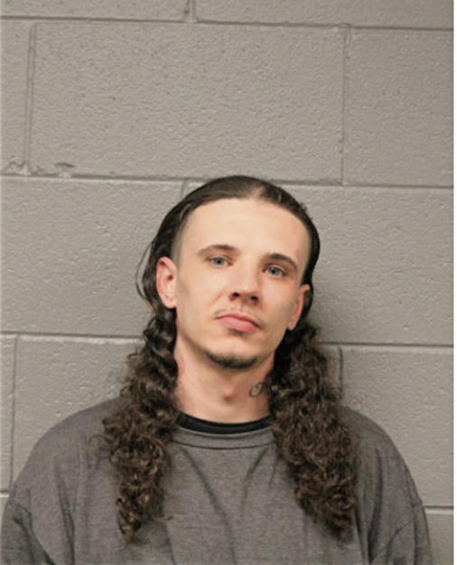 ANDREW J MESNARD, Cook County, Illinois
