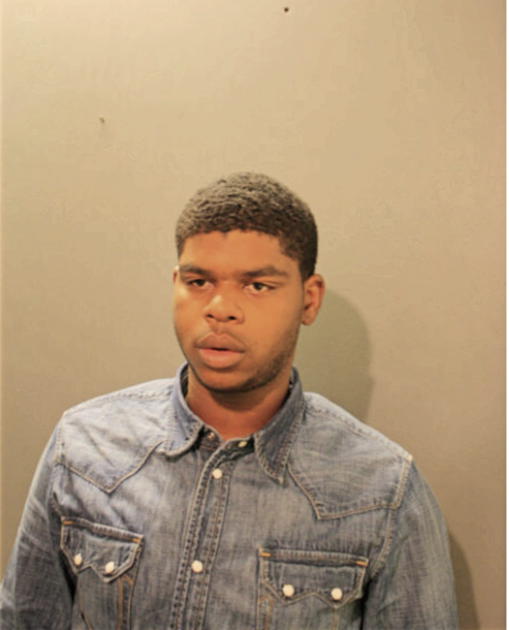 DION D MISHER, Cook County, Illinois