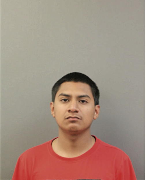 AYSTY J MONTOYA, Cook County, Illinois