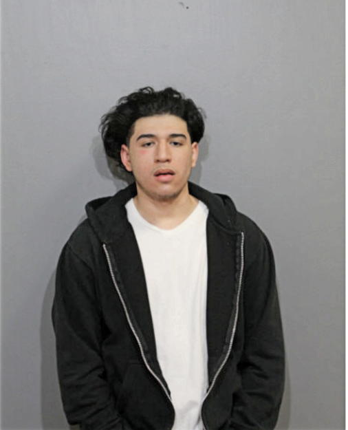 HENRY J MORENO, Cook County, Illinois