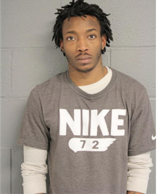KENNETH J NEAL, Cook County, Illinois