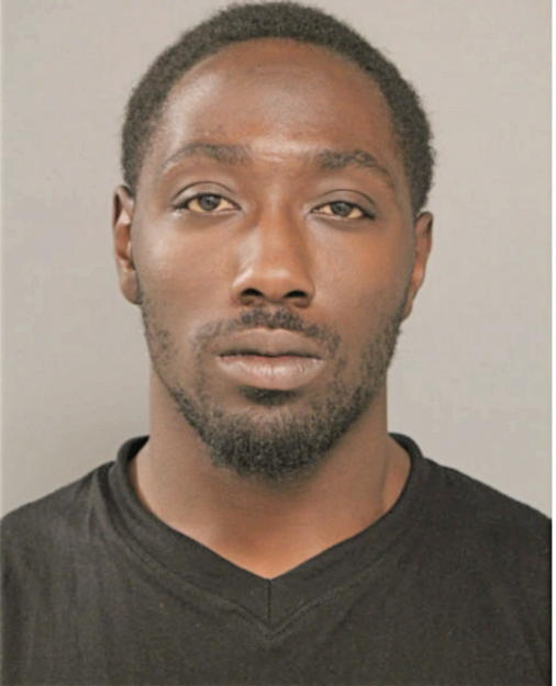 DEANDRE M NELSON, Cook County, Illinois