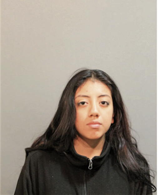SAMIRA E RAMIREZ, Cook County, Illinois