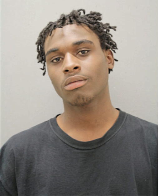 NOVAJAH J RINGGOLD, Cook County, Illinois