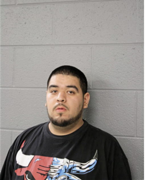 NORMANDO RIQUELME, Cook County, Illinois