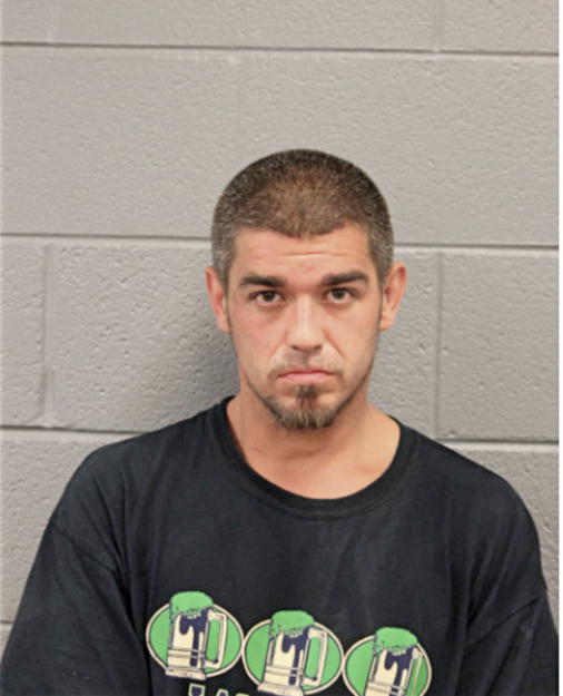 AUSTIN C SANCHEZ, Cook County, Illinois