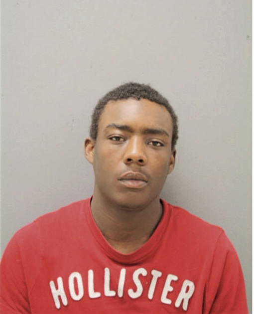 DAVID A SANDERS, Cook County, Illinois
