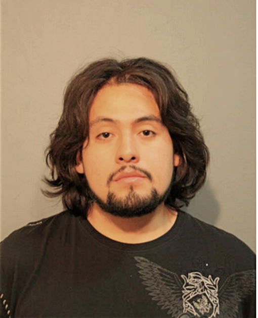 NESTOR M SIMON, Cook County, Illinois