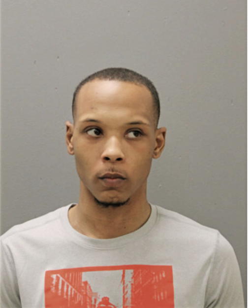 THEOPHILUS D WRIGHT, Cook County, Illinois