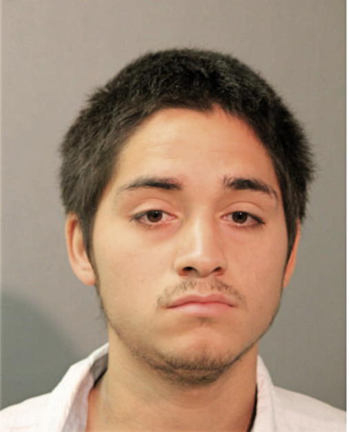 MICHAEL A ALVAREZ, Cook County, Illinois