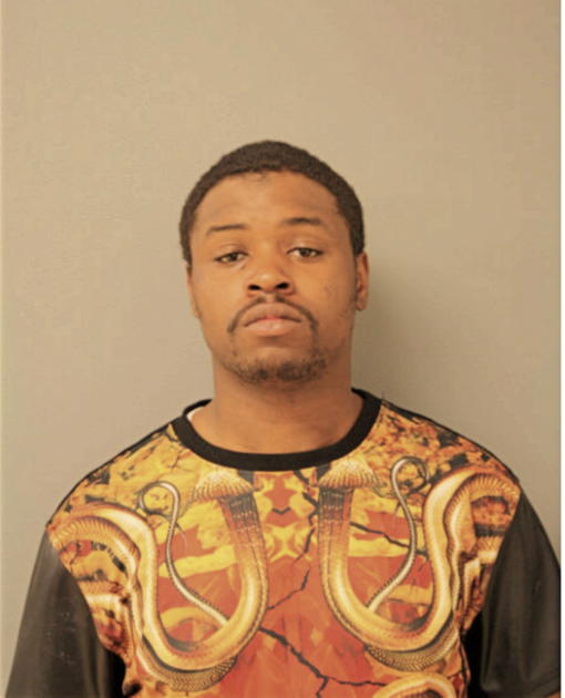 CLEOPHUS AMERSON, Cook County, Illinois
