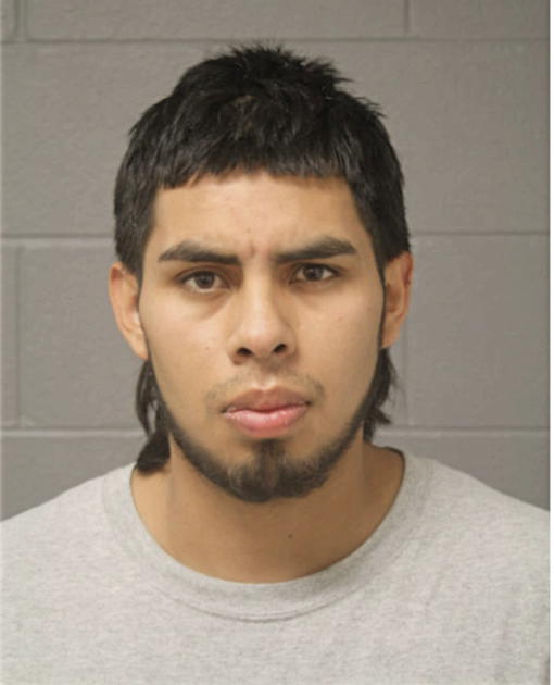 FRANCISCO APOLINAR, Cook County, Illinois
