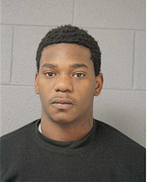 MICHAEL A BURCH, Cook County, Illinois