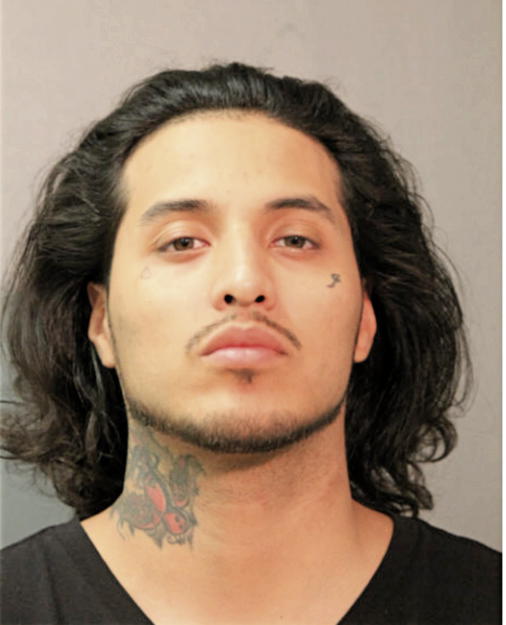 EDWARDO A CASTILLO, Cook County, Illinois