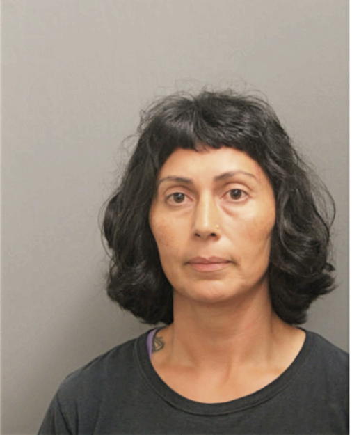 DIYA CRUZ, Cook County, Illinois