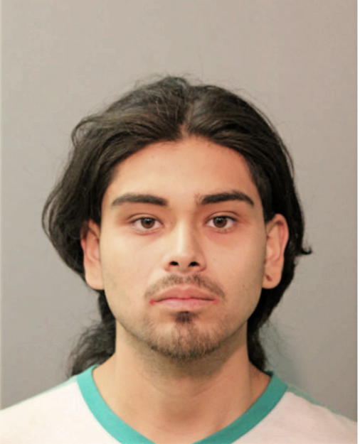 LUIS DELGADO, Cook County, Illinois