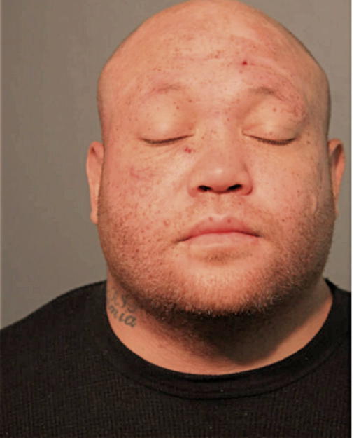 BRIAN D DYSON, Cook County, Illinois