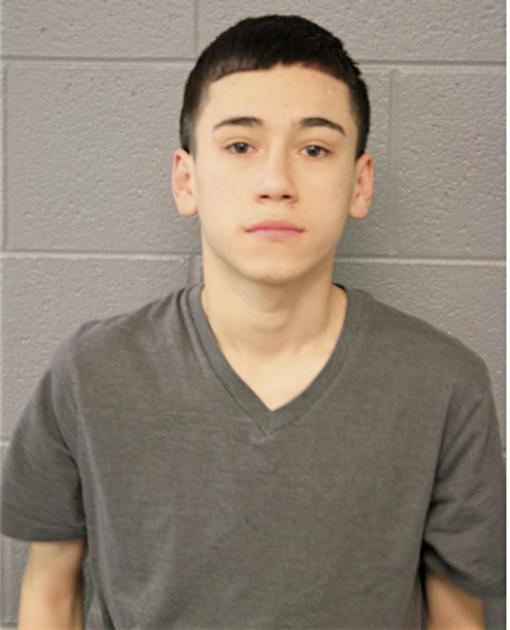 EDUARDO FLORES, Cook County, Illinois