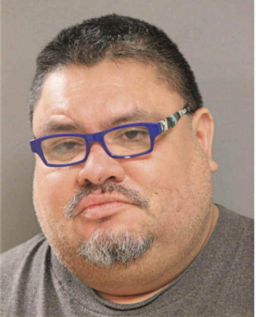 LUIS C FLORES, Cook County, Illinois