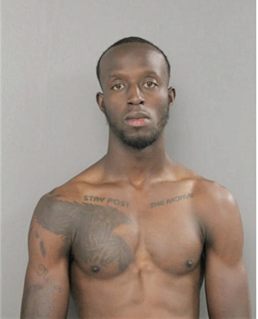 TERRANCE J FLOWERS, Cook County, Illinois