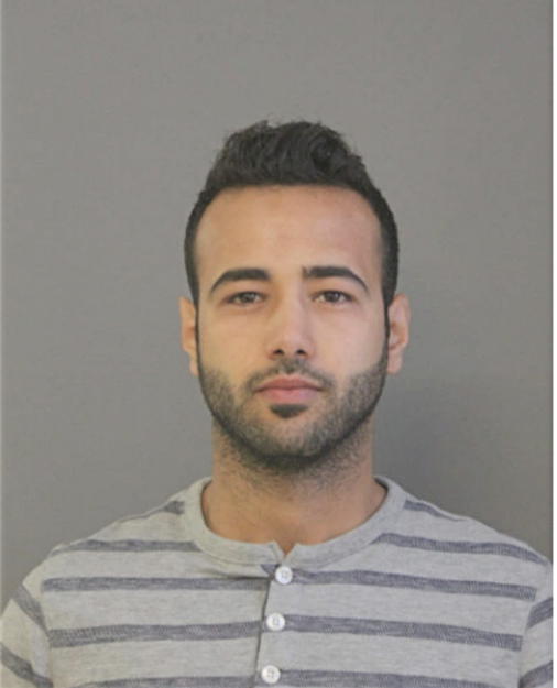 HOUSSAME A HAMMANI, Cook County, Illinois
