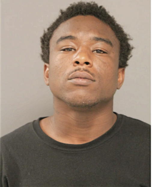 BRANDON D HOLT, Cook County, Illinois