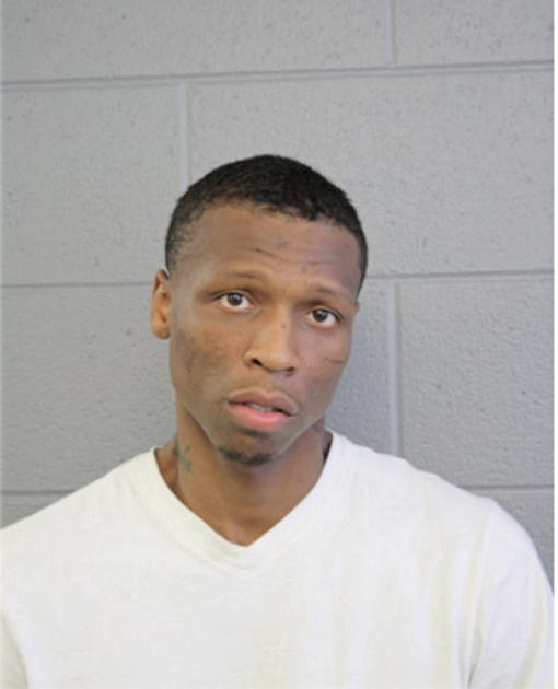 KALVIN J JOHNSON, Cook County, Illinois