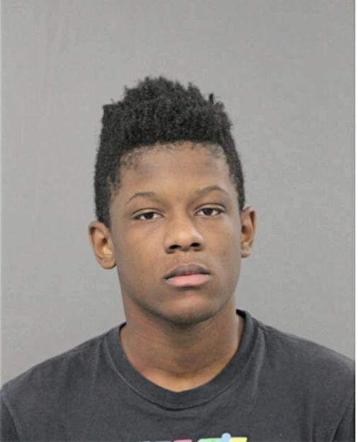 DERRICK LAWS, Cook County, Illinois