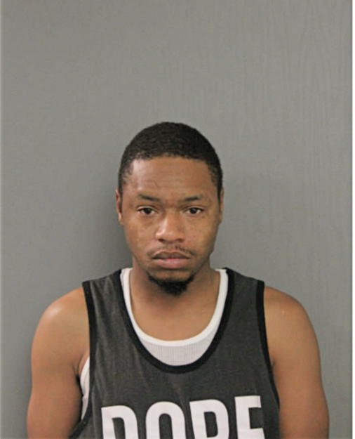 DOMINIC T LEWIS, Cook County, Illinois
