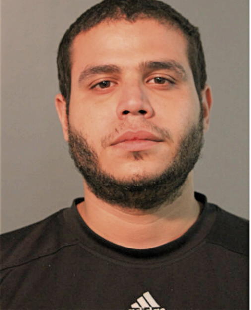 RAUL LOZADA, Cook County, Illinois