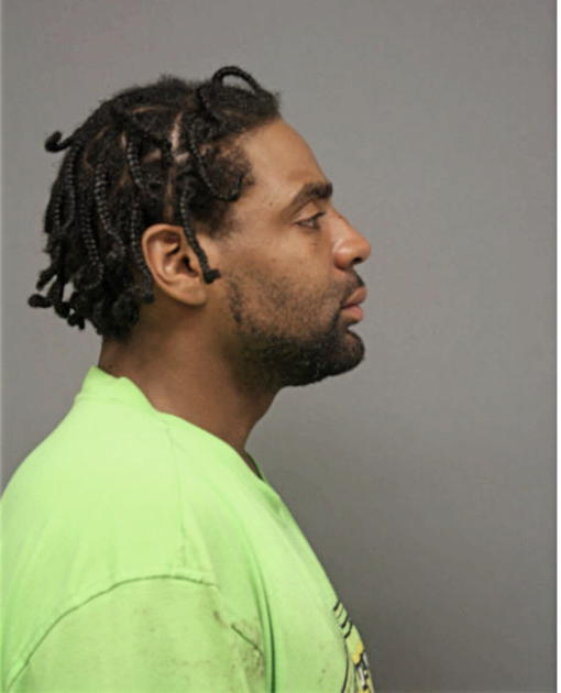 SOLOMON J MITCHELL, Cook County, Illinois