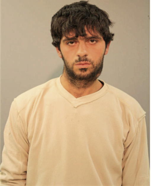 AHMAD OMAR, Cook County, Illinois