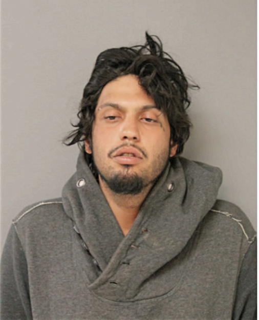 FABIAN M PACHECO, Cook County, Illinois