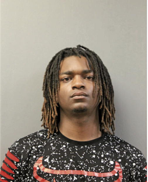 DARRYL L PAGE, Cook County, Illinois